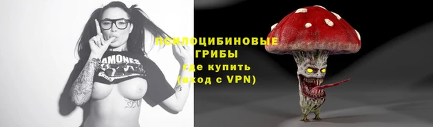 Альфа ПВП Володарск