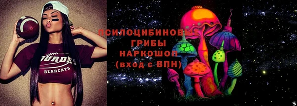 Альфа ПВП Володарск