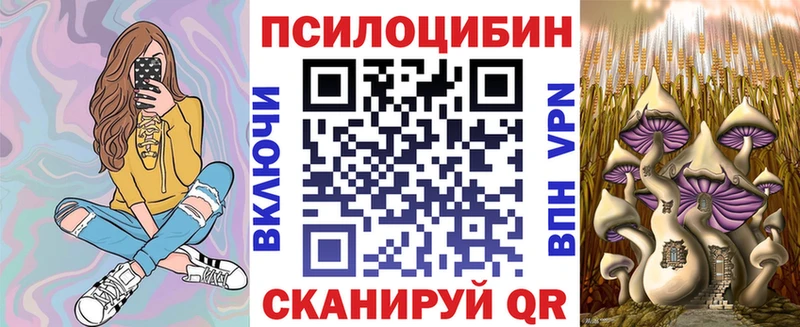 Галлюциногенные грибы Psilocybine cubensis  Александровское 